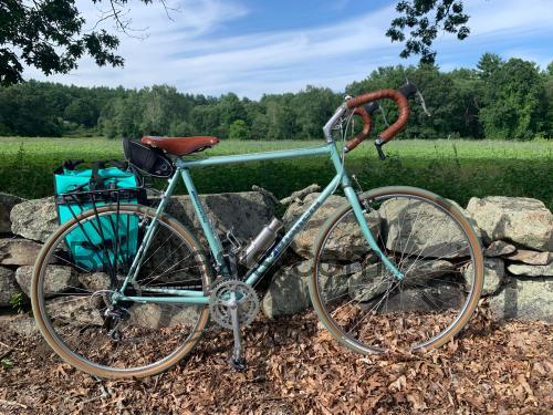 Bianchi Axis ficha técnica y opiniones